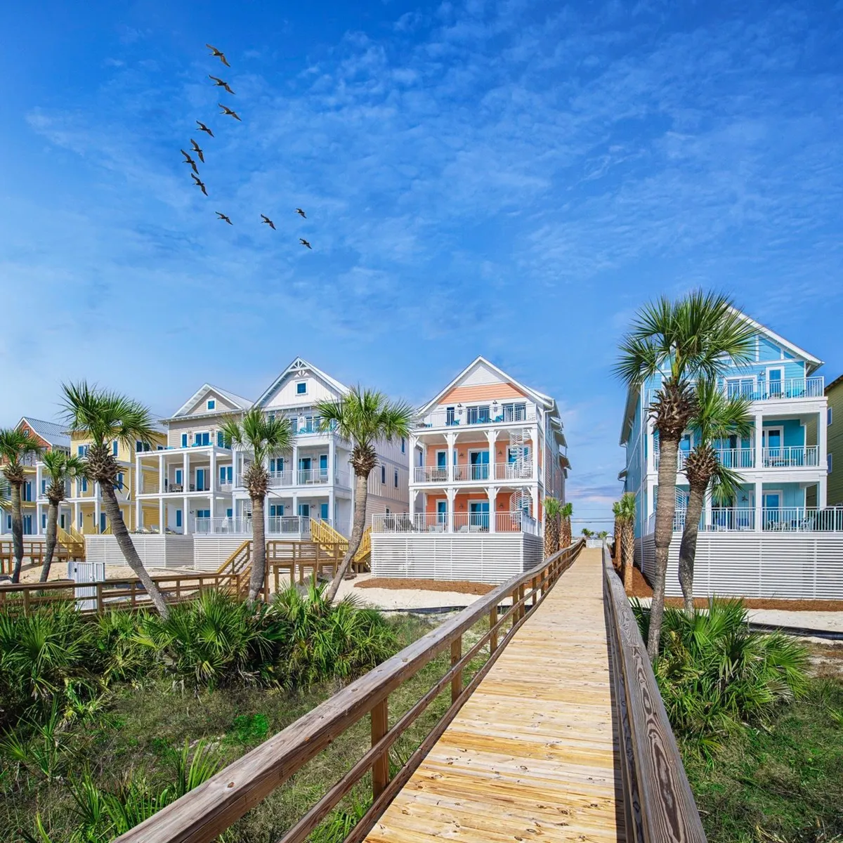 A cheerful boardwalk lined with palm trees leads from colorful multi-story beach cottages directly to the sandy shore. A flock of birds soars above, and the architecture and landscaping evoke a bright, welcoming coastal environment, ideal for outdoor recreation and group beach activities.